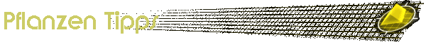 Pflanzen Tipps